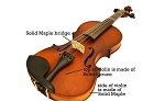 Violins for Beginners-Model 12 Antique-27