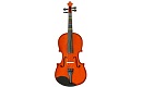 Violins for Beginners
